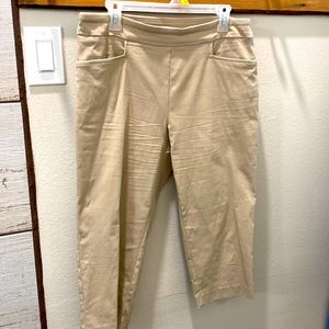 🌹Time & Tru khaki stretch capris size 12-14